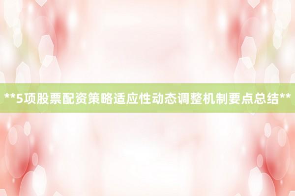 **5项股票配资策略适应性动态调整机制要点总结**