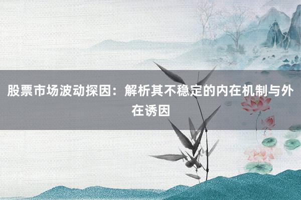 股票市场波动探因：解析其不稳定的内在机制与外在诱因
